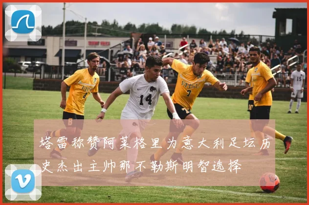 塔雷称赞阿莱格里为意大利足坛历史杰出主帅那不勒斯明智选择