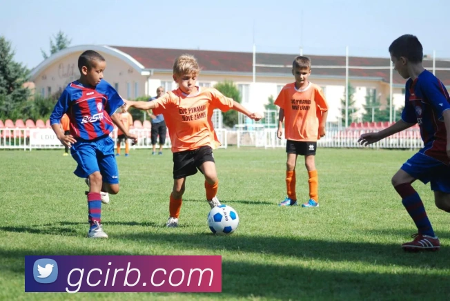 奖项2